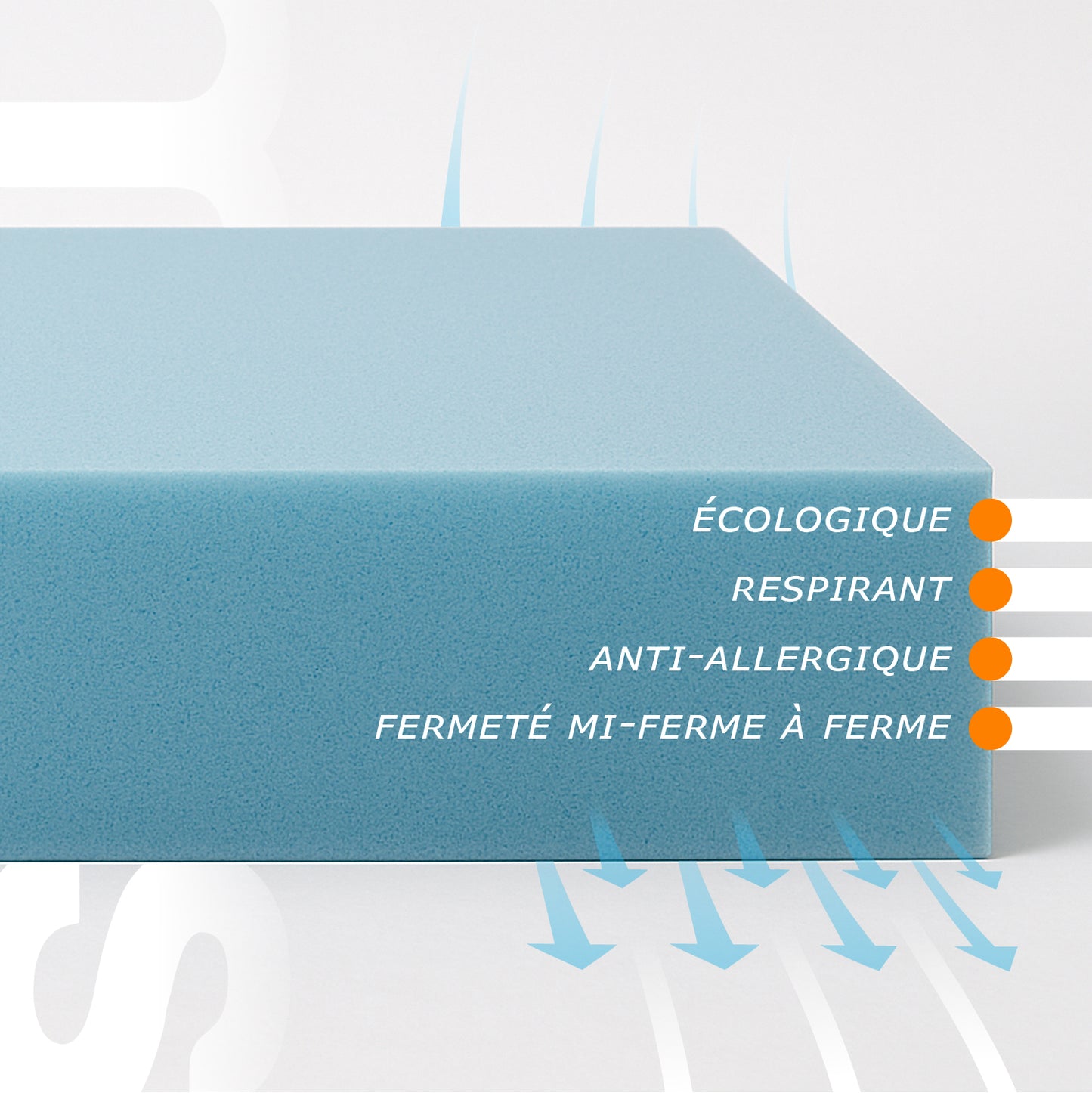 Matelas pour Lit Junior Haut 10 cm - Revêtement Aloe Vera | Plus H10